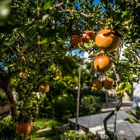 Avouris Appartamento
