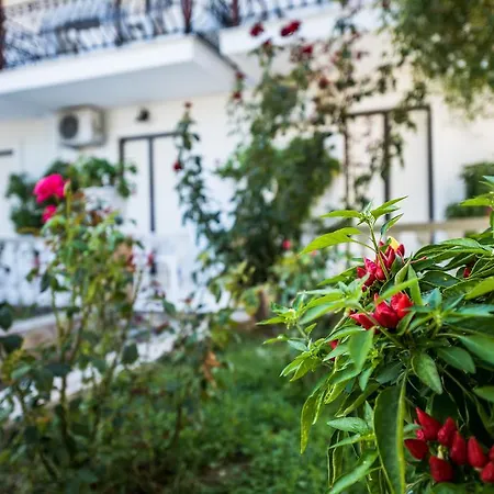 Appartement Avouris *