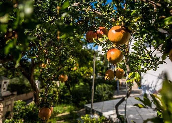 Avouris Appartamento